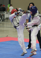 Taekwondo Action Portrait 4